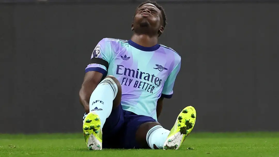 展提供了宝 展提供了宝