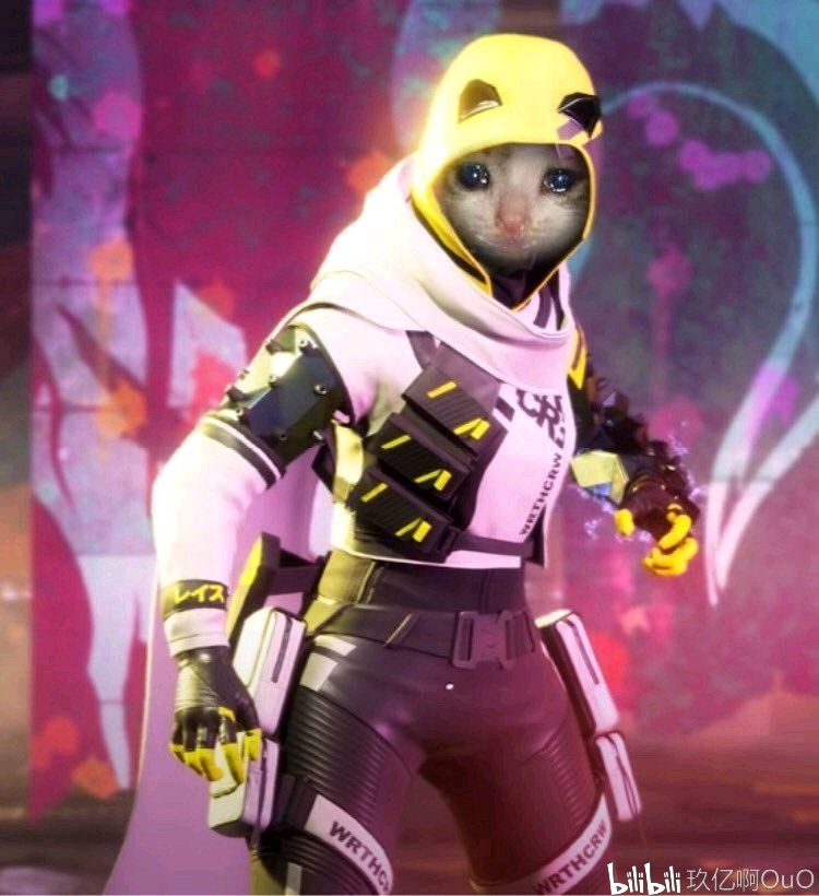 决定是否能 决定是否能